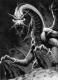 black_dragon