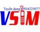 vsim